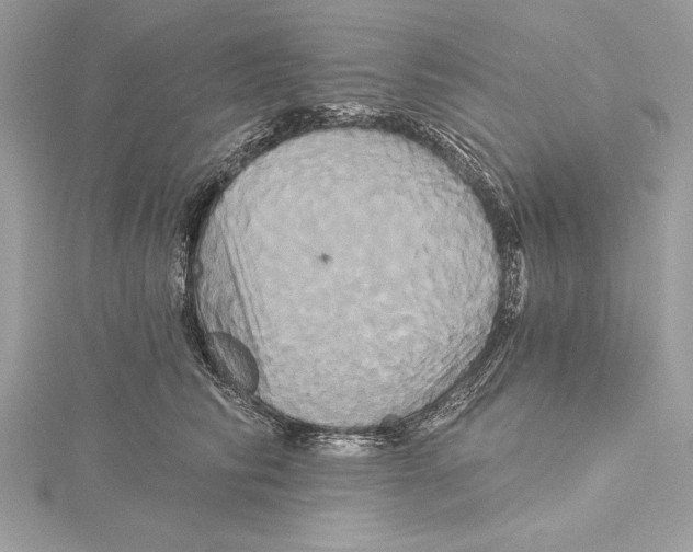 X0000115330710200911301527