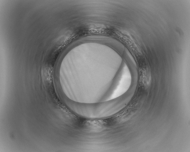 X0000115330712200911301527