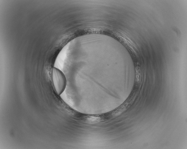 X0000115330718200911301527