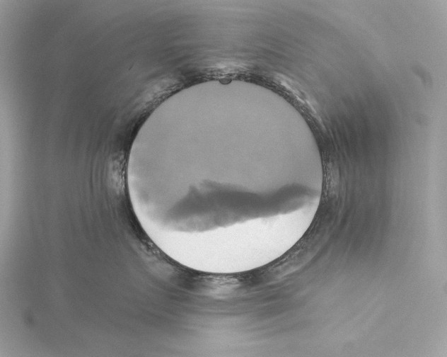 X0000115330719200911301527