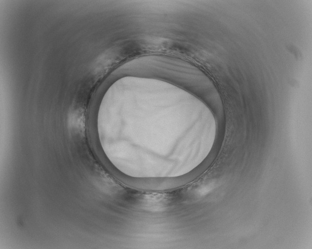 X0000115330720200911301527