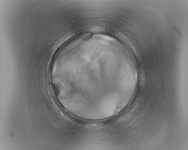 X0000115330721200911301527