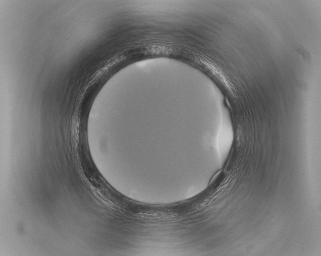 X0000115330722200911301527