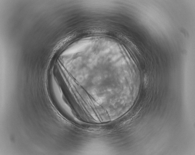 X0000115330725200911301527