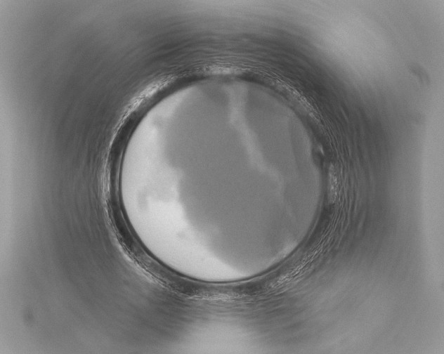 X0000115330726200911301527