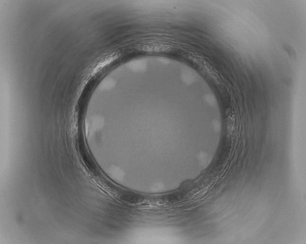 X0000115330727200911301527