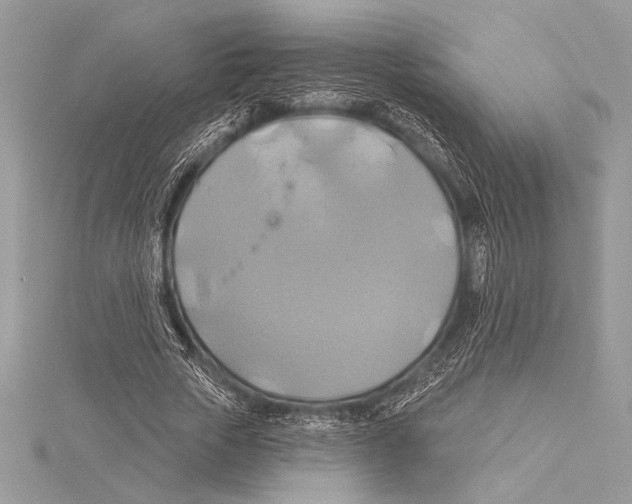 X0000115330729200911301527