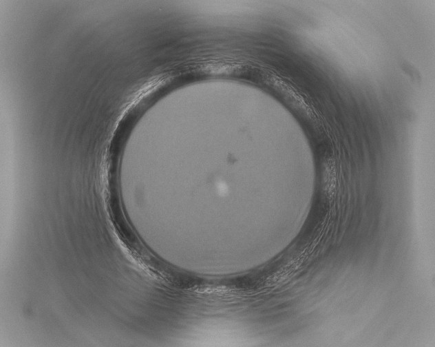 X0000115330730200911301527