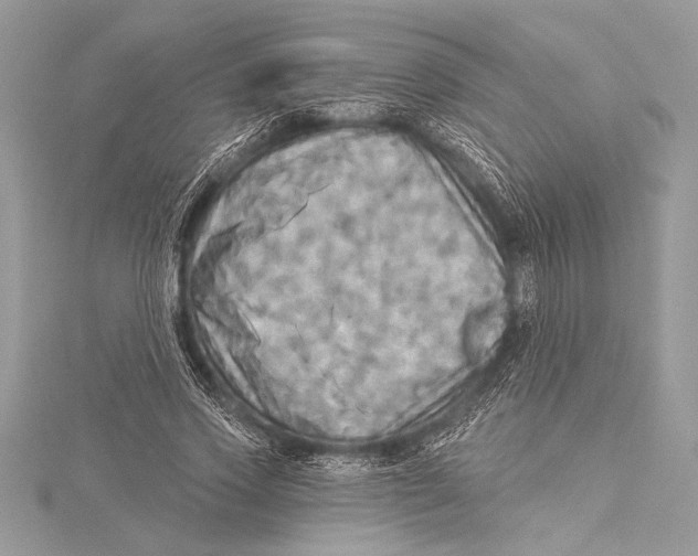 X0000115330733200911301527