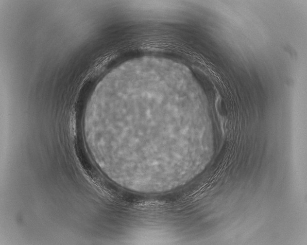 X0000115330734200911301527