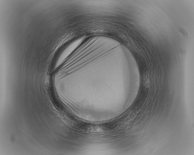 X0000115330735200911301527