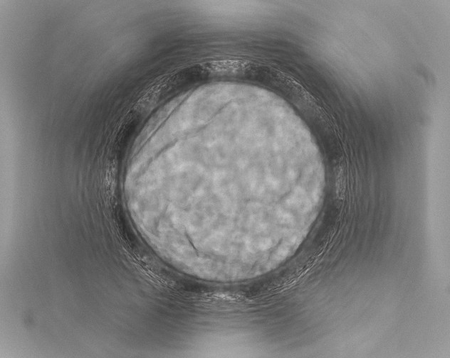 X0000115330737200911301527