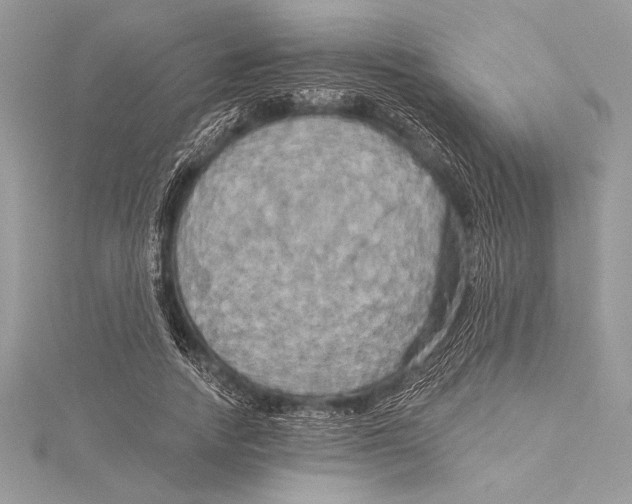 X0000115330738200911301527