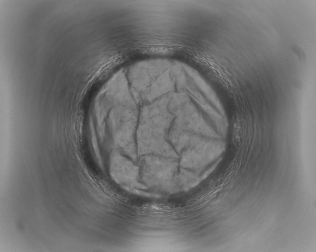 X0000115330739200911301527