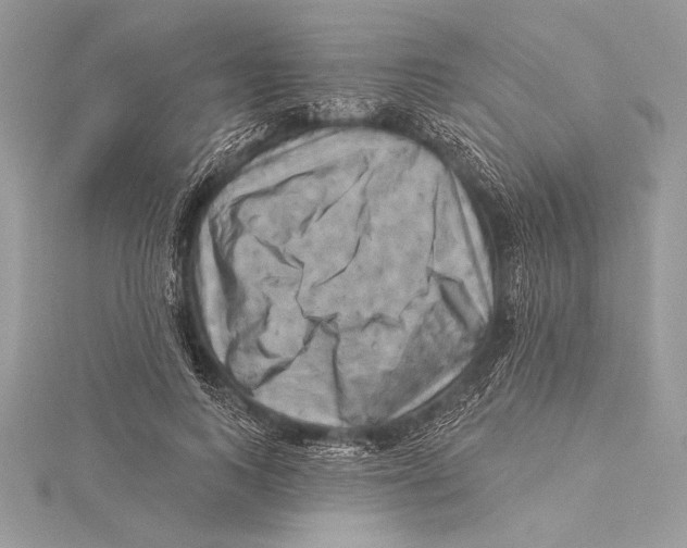 X0000115330743200911301527