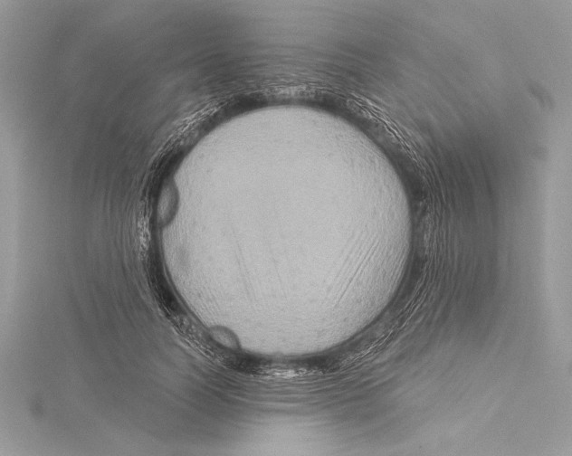 X0000115330746200911301527