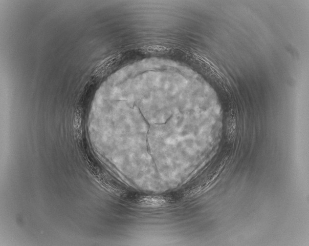 X0000115330749200911301527