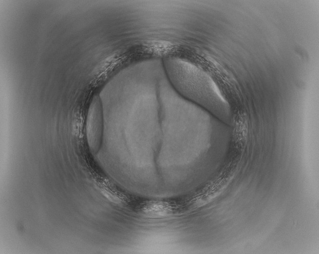 X0000115330750200911301527