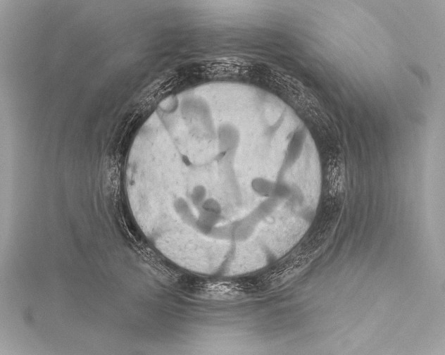 X0000115330753200911301527