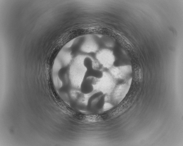 X0000115330757200911301527