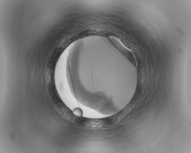 X0000115330758200911301527