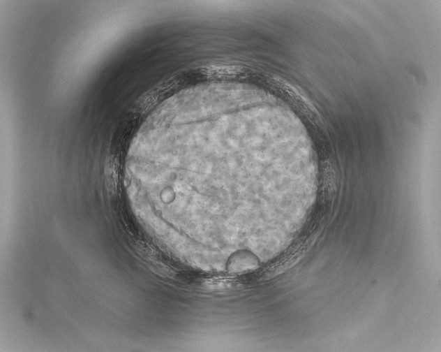 X0000115330761200911301527