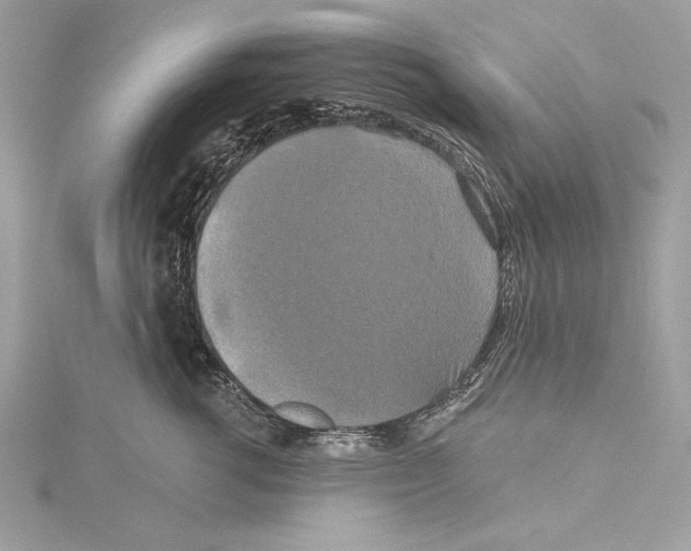 X0000115330762200911301527