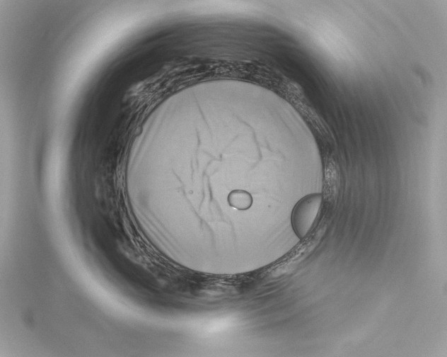 X0000115330765200911301527