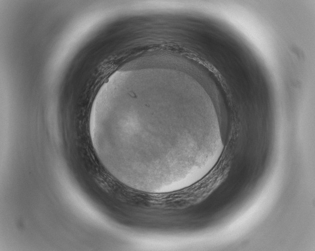 X0000115330766200911301527