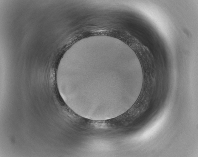 X0000115330767200911301527