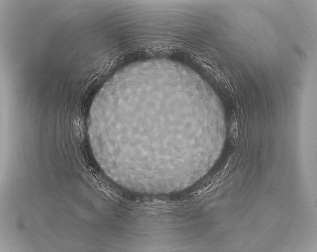 X0000115330772200911301527