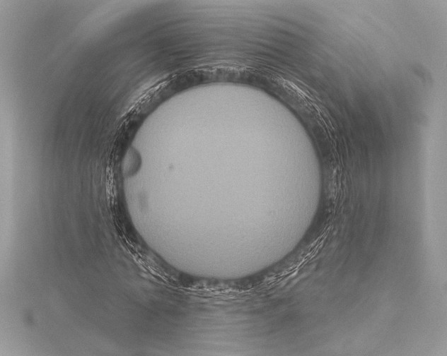 X0000115330774200911301527