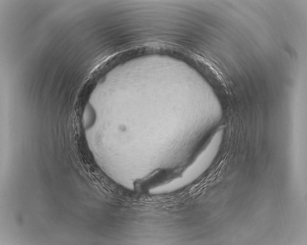 X0000115330776200911301527