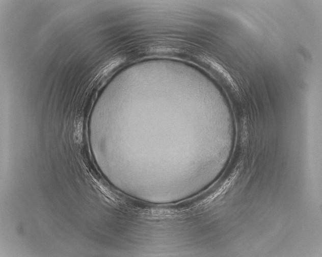 X0000115330777200911301526