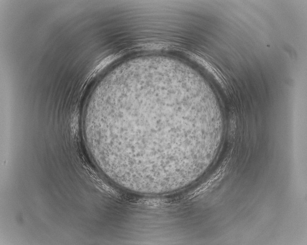 X0000115330778200911301526