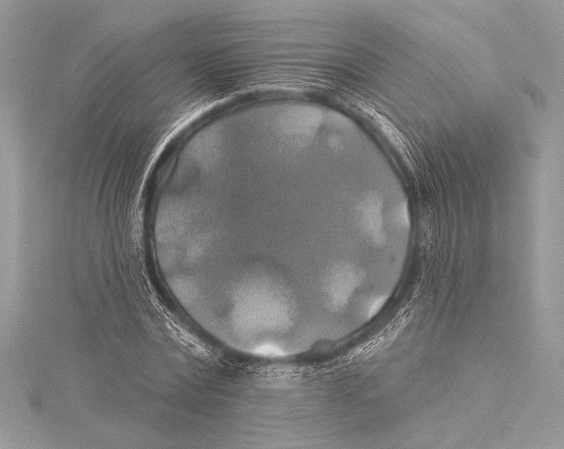 X0000115330779200911301526