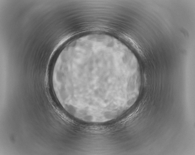 X0000115330780200911301526