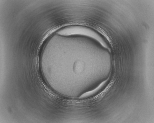 X0000115330781200911301526