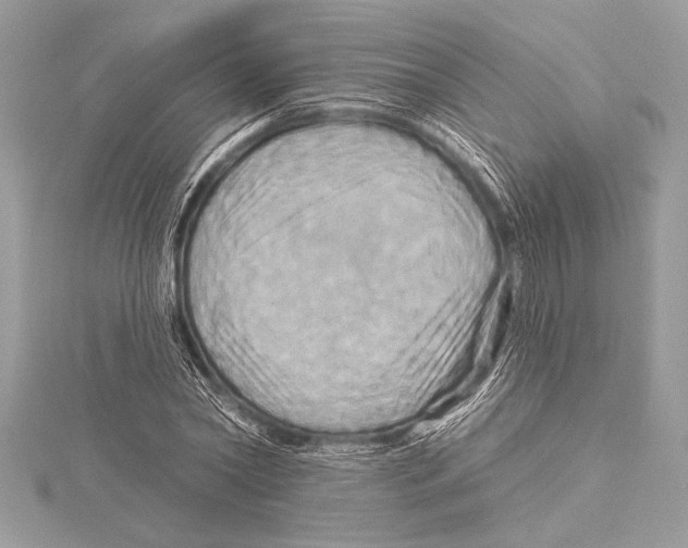 X0000115330782200911301526