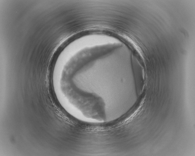 X0000115330783200911301526