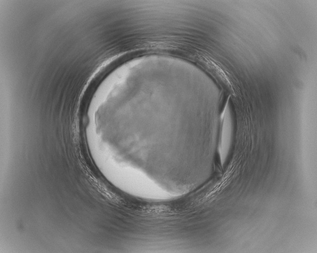 X0000115330784200911301526