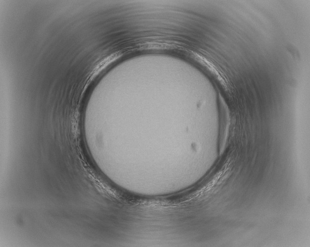 X0000115330786200911301526