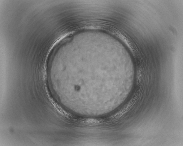 X0000115330787200911301526