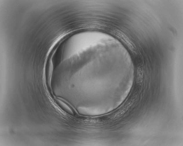 X0000115330788200911301526