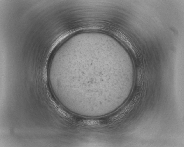 X0000115330789200911301526