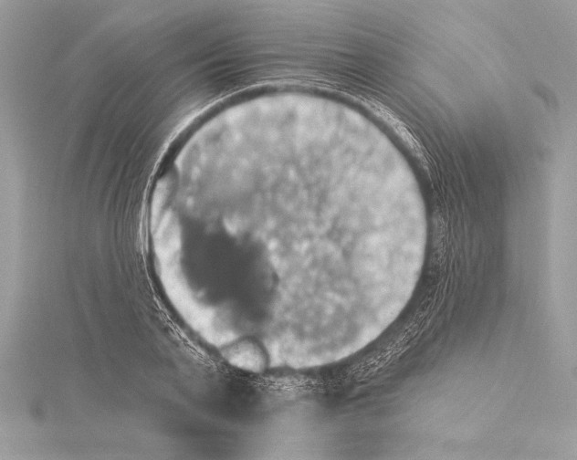 X0000115330791200911301526