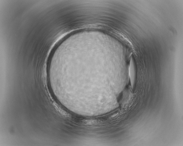 X0000115330792200911301526