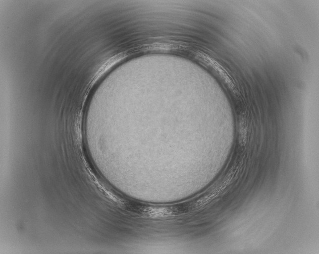 X0000115330794200911301526