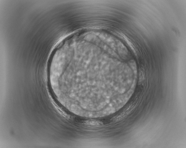 X0000115330795200911301526