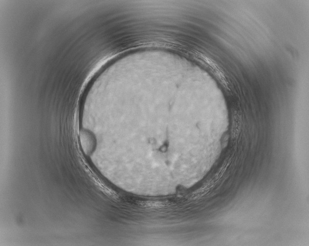 X0000115330796200911301526